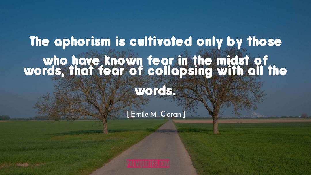 Collapsing quotes by Emile M. Cioran