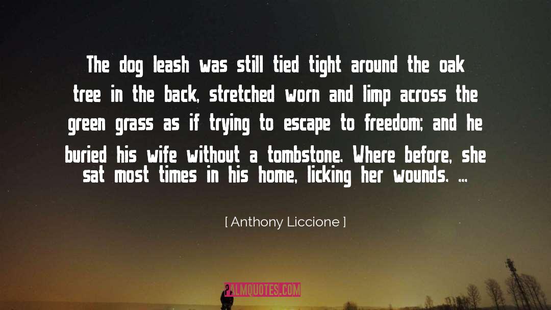 Collar And Leash quotes by Anthony Liccione