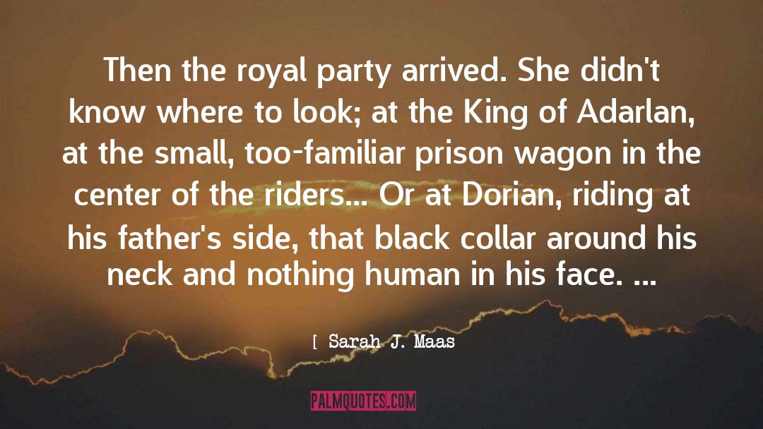 Collar quotes by Sarah J. Maas