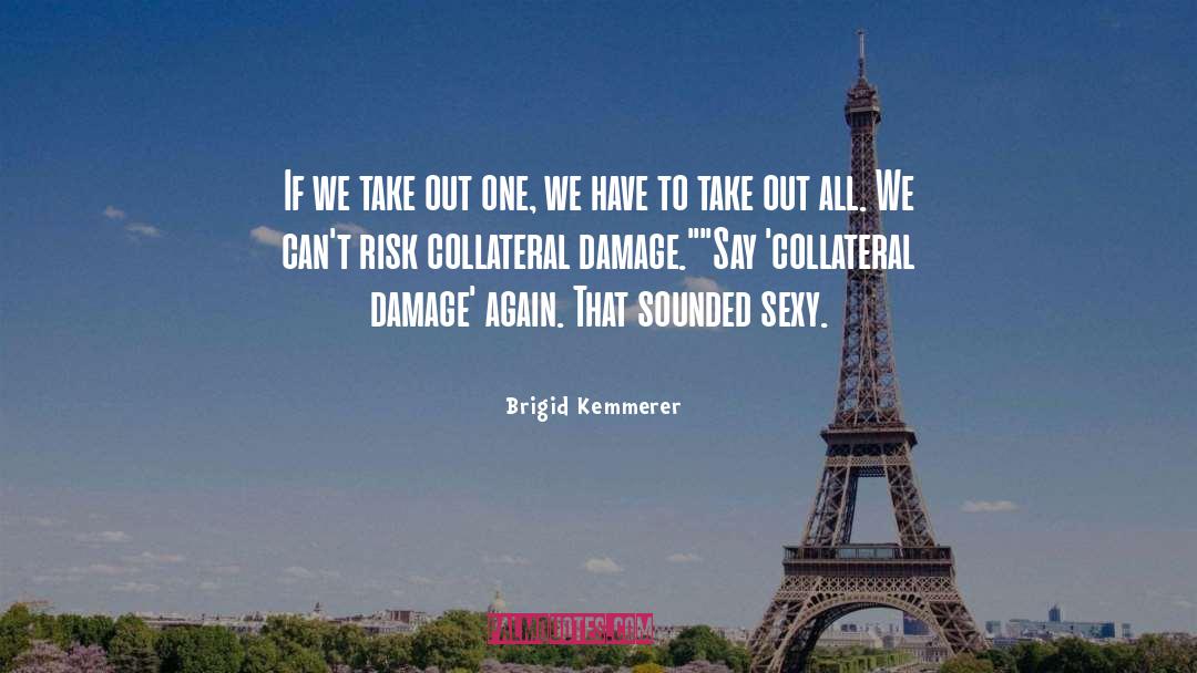 Collateral Damage quotes by Brigid Kemmerer