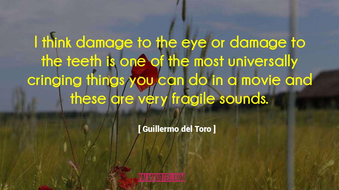 Collateral Damage quotes by Guillermo Del Toro