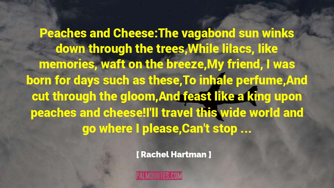 Collect Memories quotes by Rachel Hartman