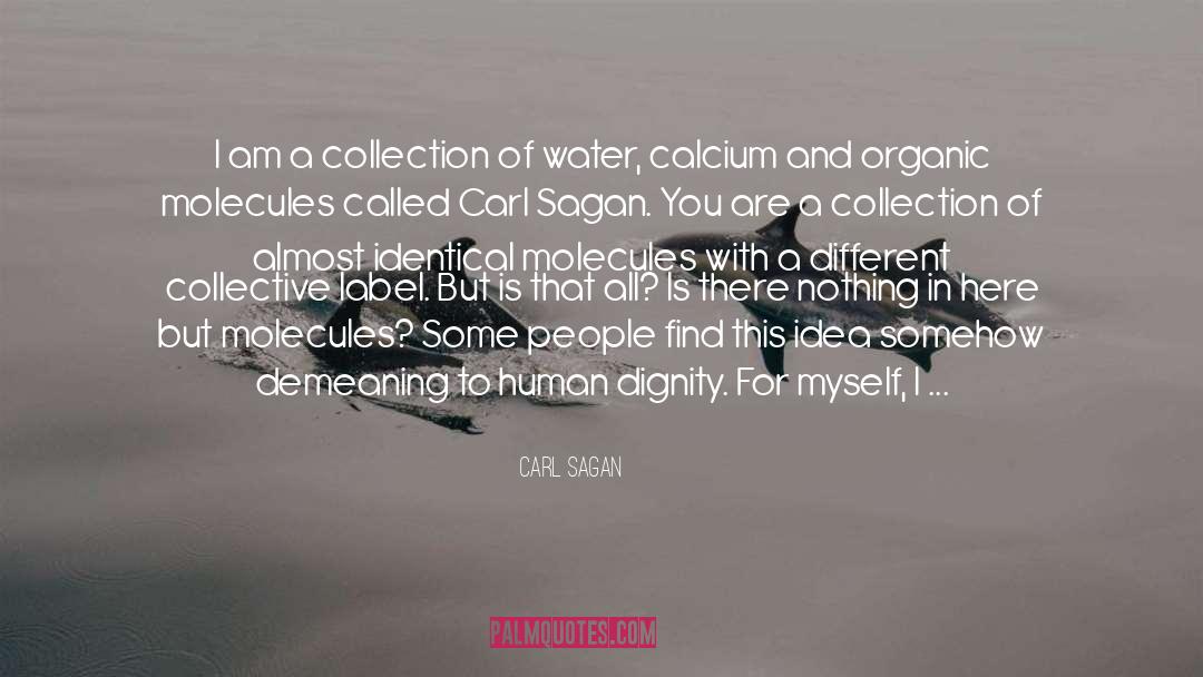 Collection quotes by Carl Sagan