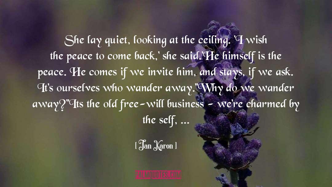 Collective Looking Away quotes by Jan Karon