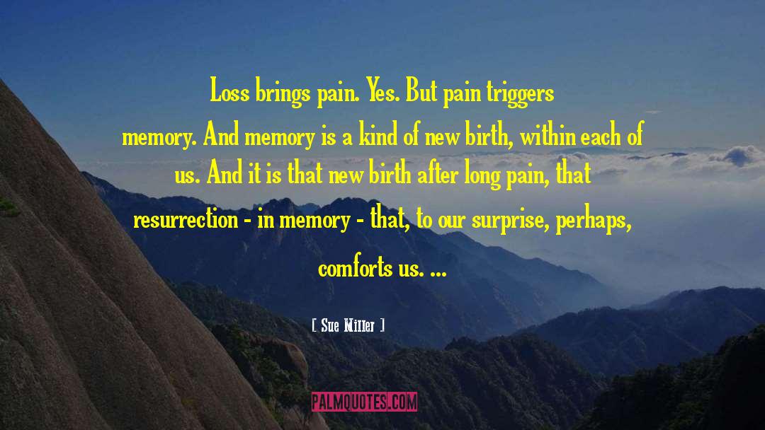 Collective Memory quotes by Sue Miller