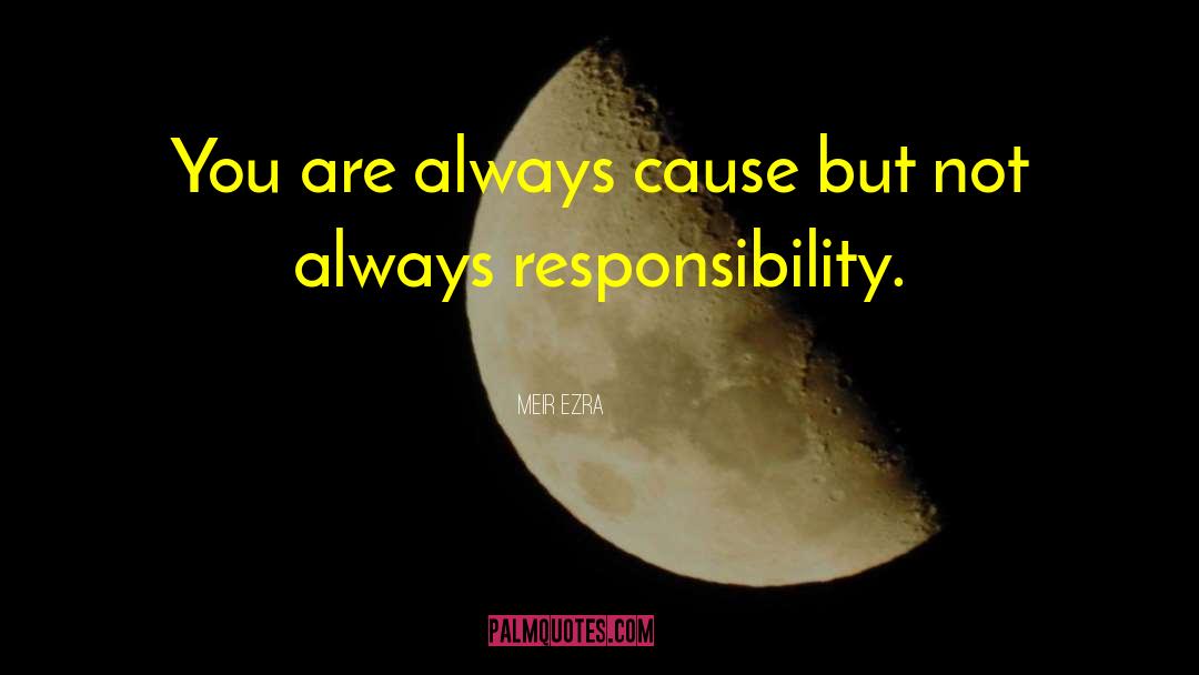 Collective Responsibility quotes by Meir Ezra