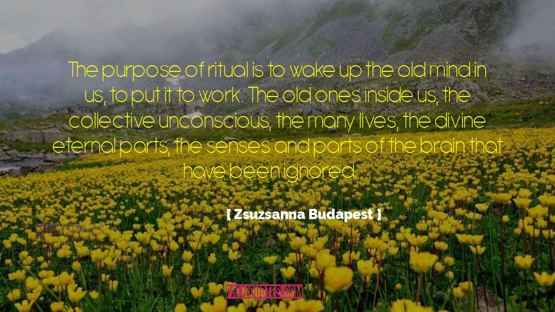 Collective Unconscious quotes by Zsuzsanna Budapest