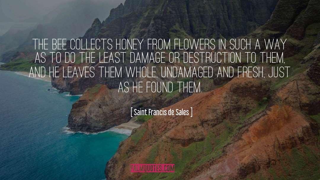 Collects quotes by Saint Francis De Sales
