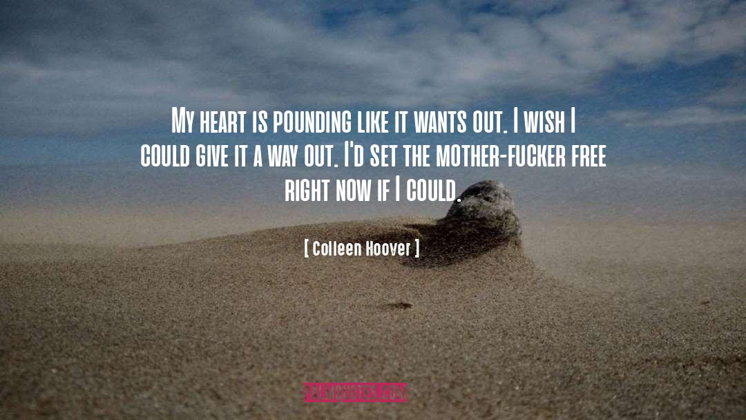 Colleen Ferrary quotes by Colleen Hoover