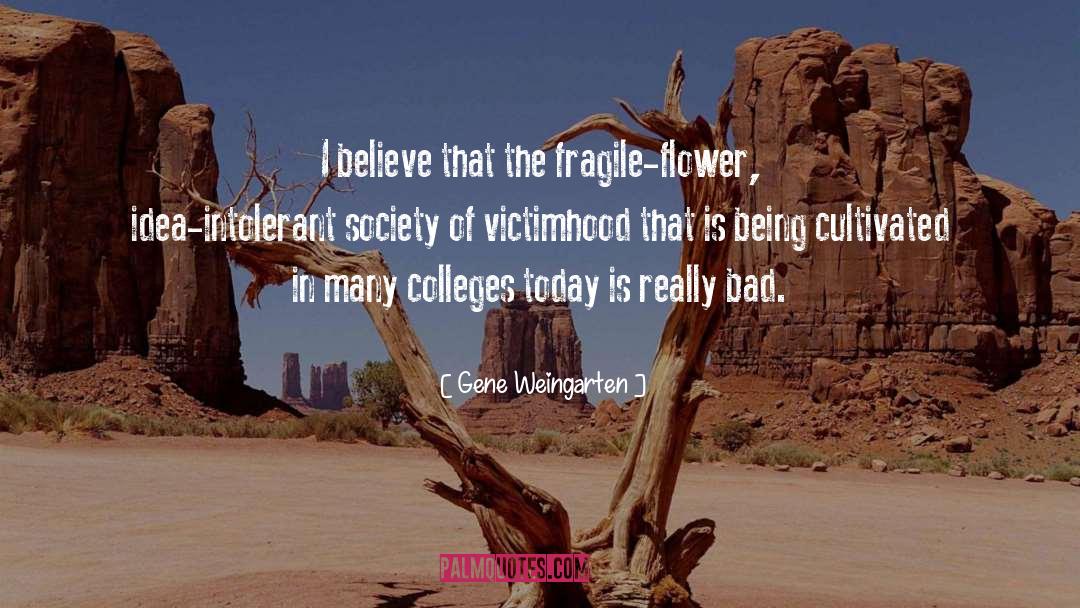Colleges quotes by Gene Weingarten