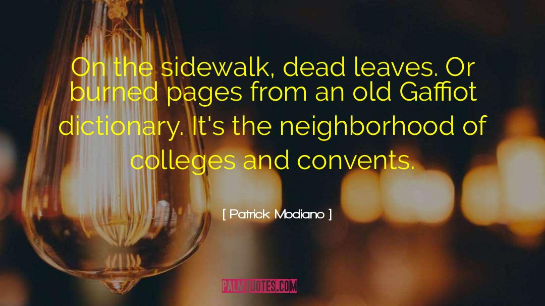 Colleges quotes by Patrick Modiano