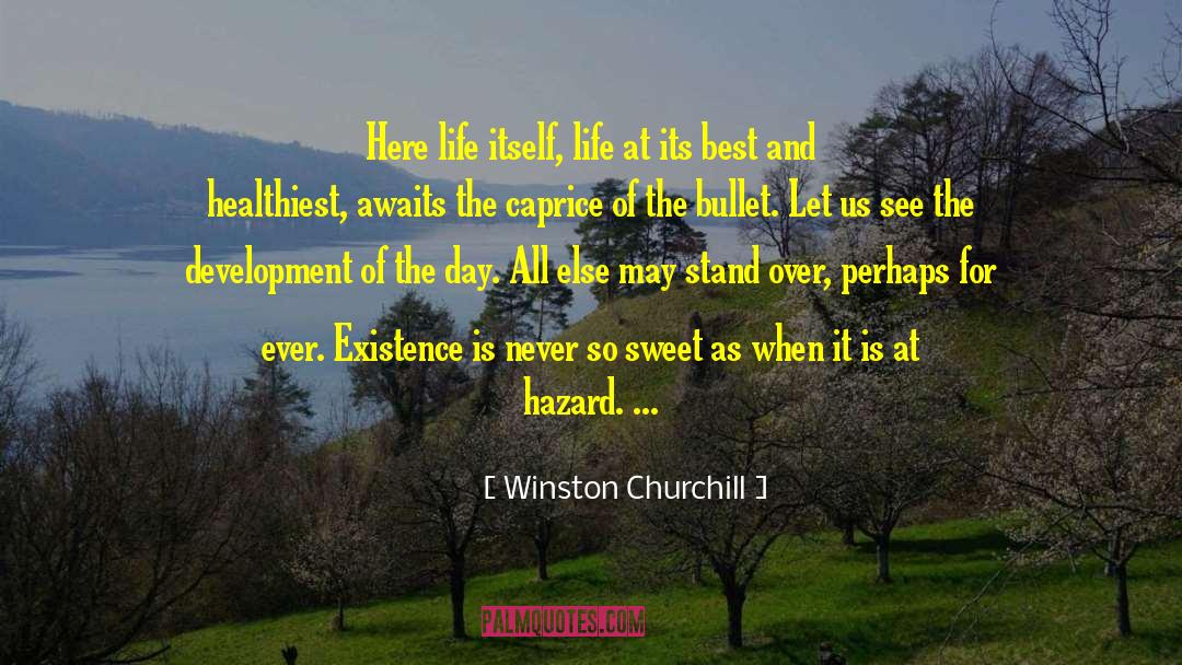 Collision Hazard quotes by Winston Churchill