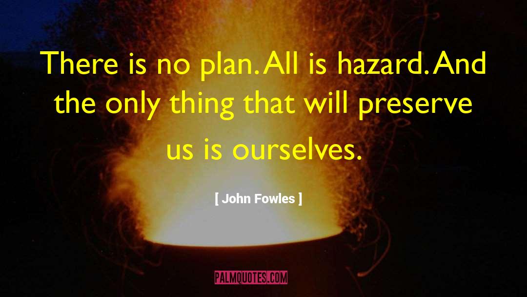 Collision Hazard quotes by John Fowles