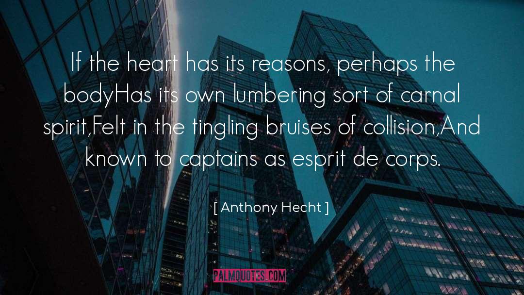 Collision quotes by Anthony Hecht