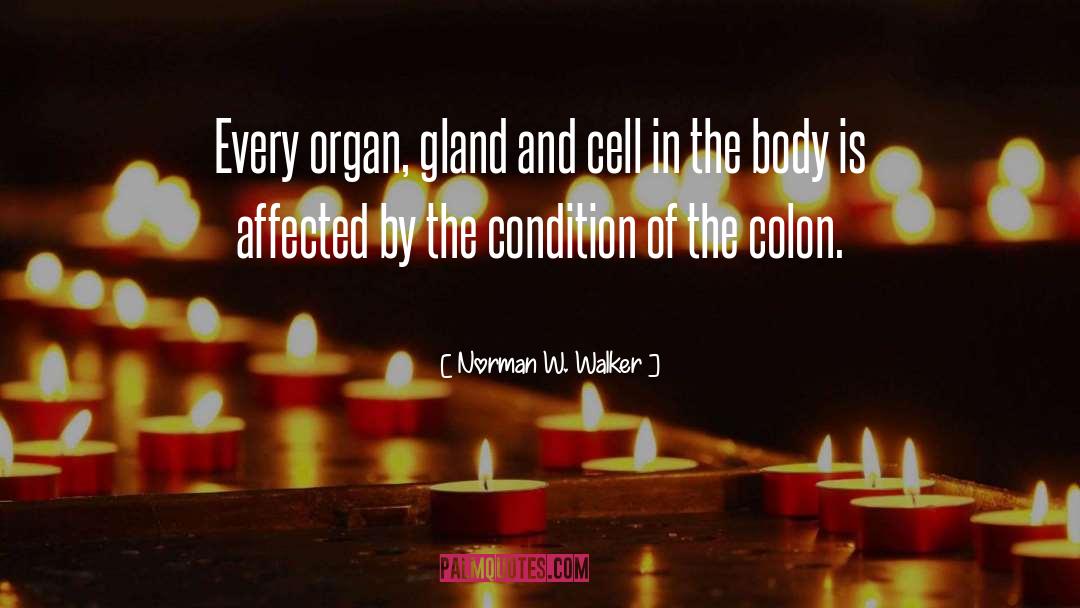 Colon quotes by Norman W. Walker