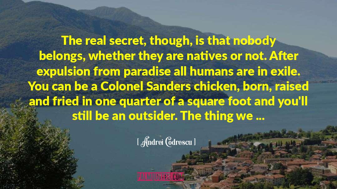 Colonel quotes by Andrei Codrescu