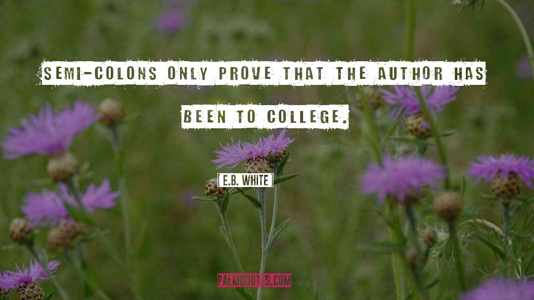 Colons quotes by E.B. White