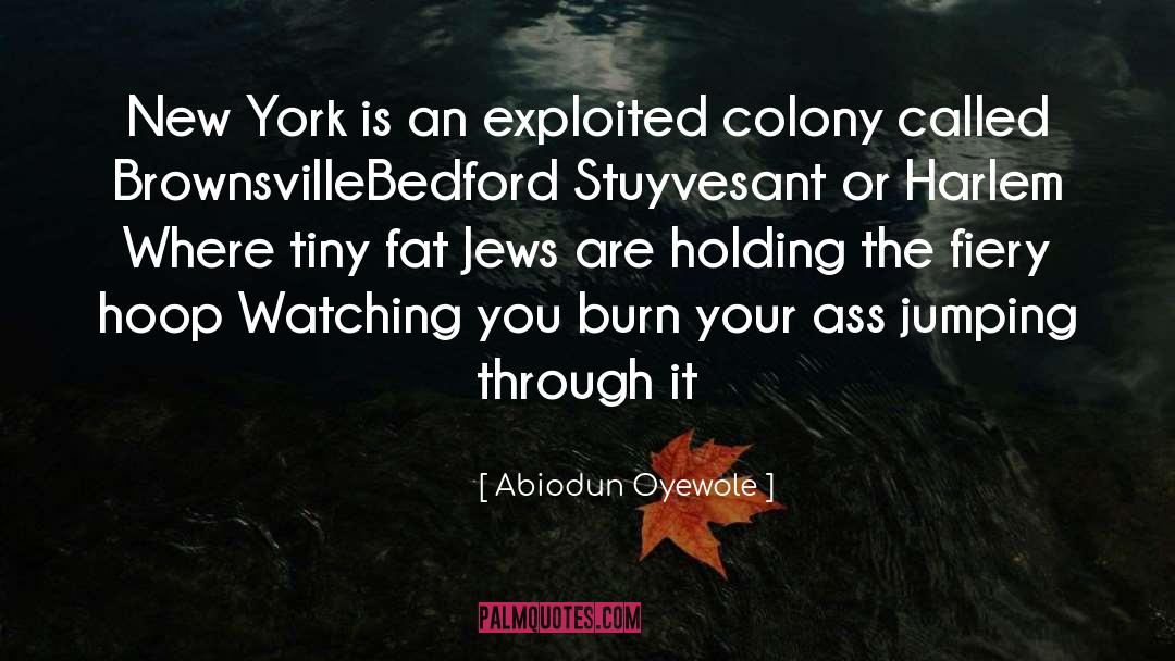 Colony quotes by Abiodun Oyewole