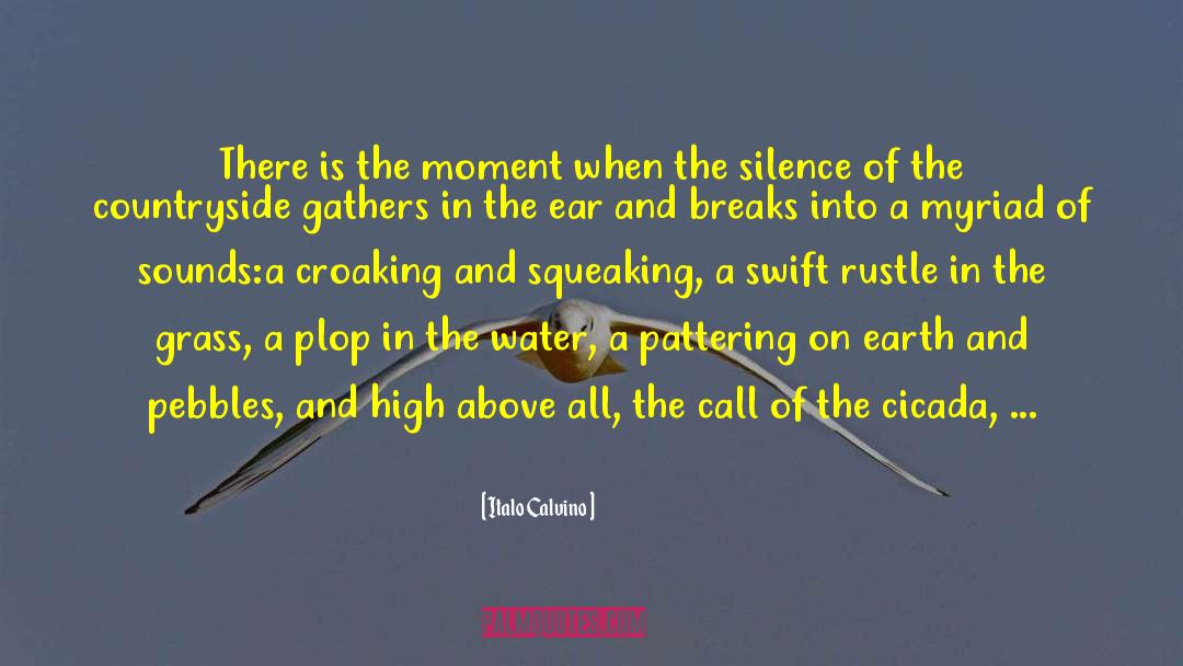 Color Of Water quotes by Italo Calvino