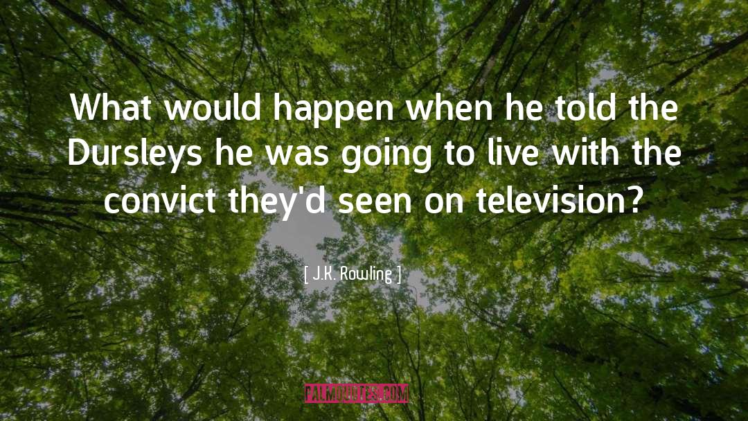Color Television quotes by J.K. Rowling