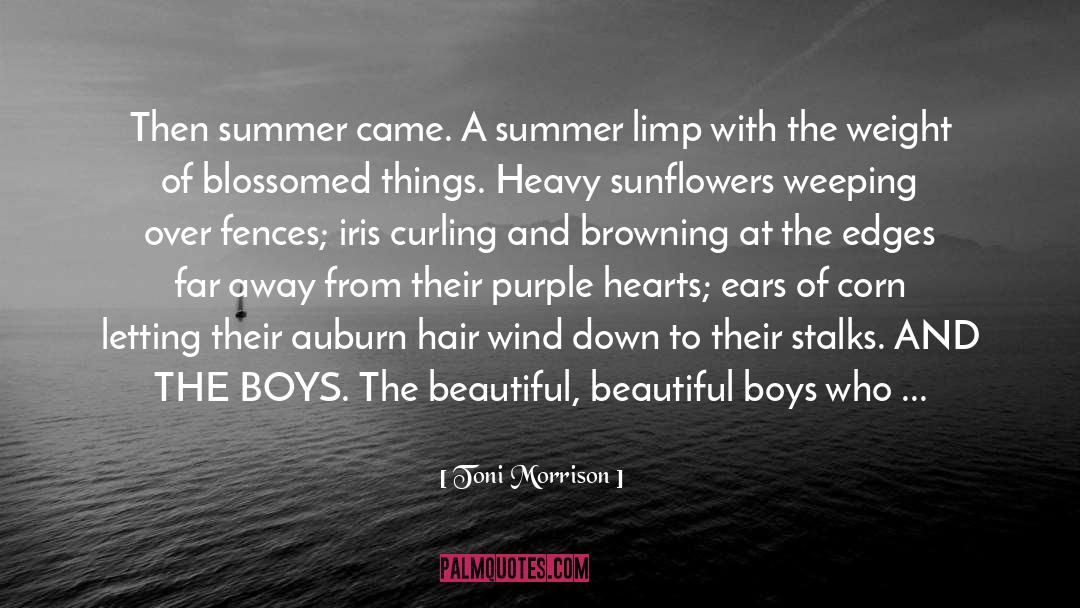 Colorado River quotes by Toni Morrison