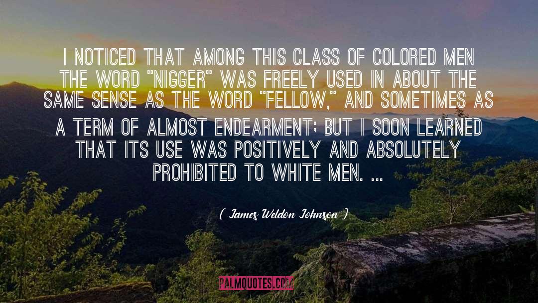 Colored quotes by James Weldon Johnson