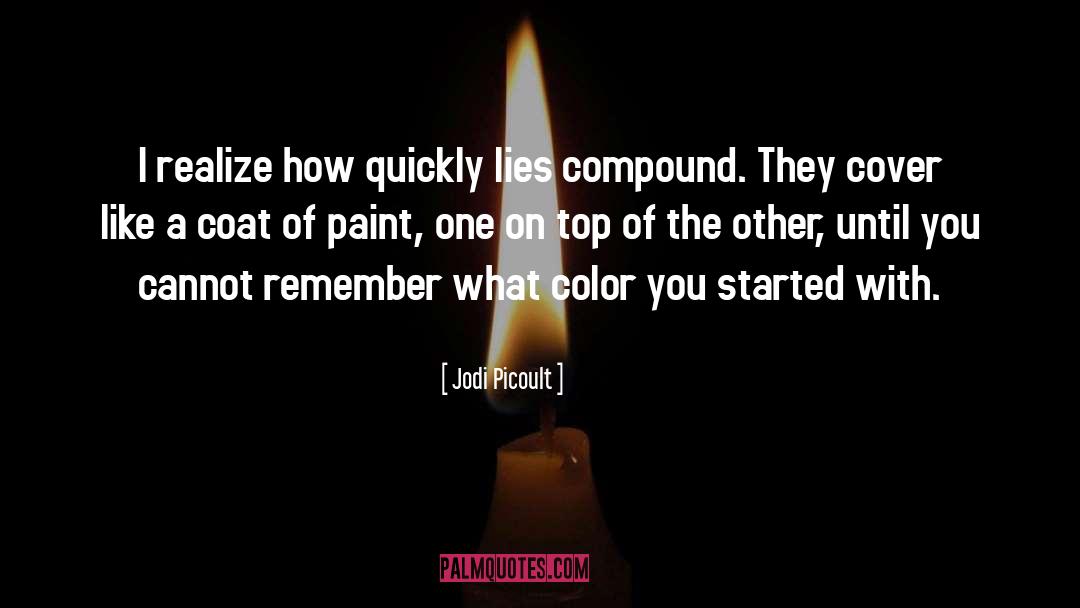 Colorful Color quotes by Jodi Picoult