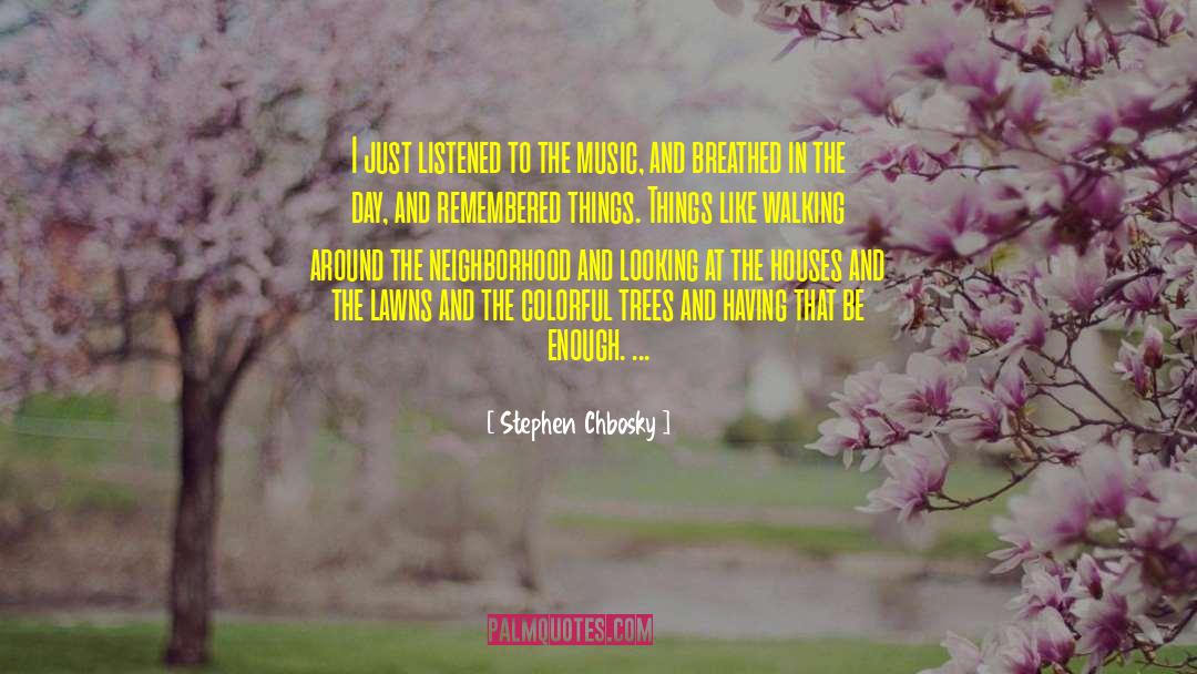 Colorful quotes by Stephen Chbosky