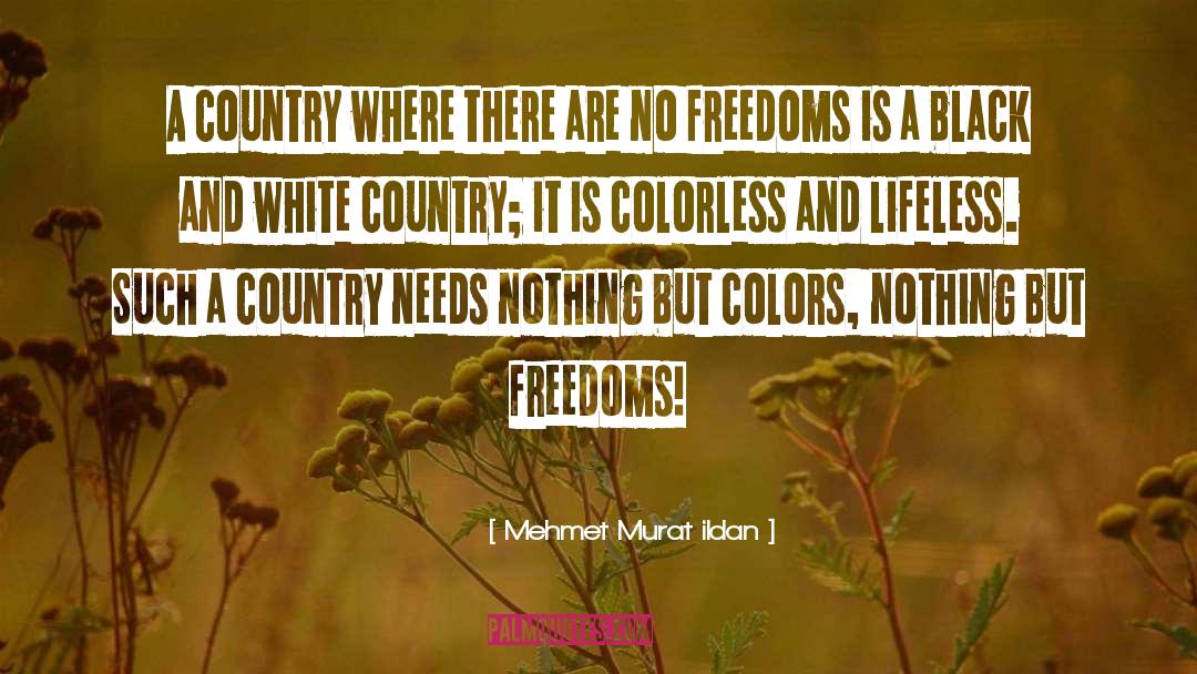Colorless quotes by Mehmet Murat Ildan