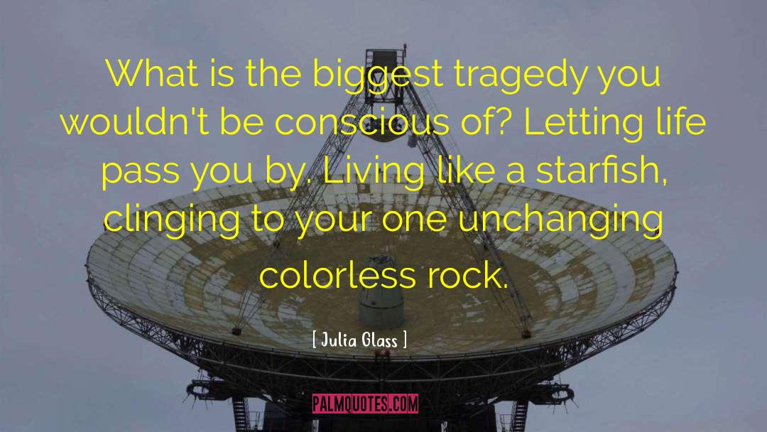 Colorless quotes by Julia Glass