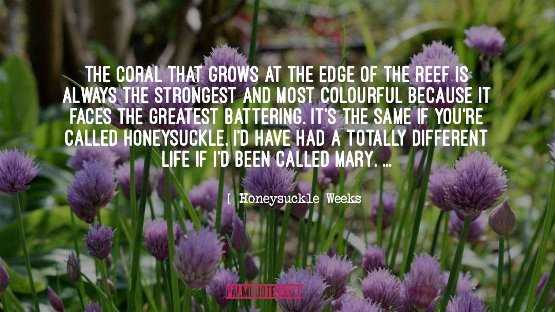 Colourful quotes by Honeysuckle Weeks