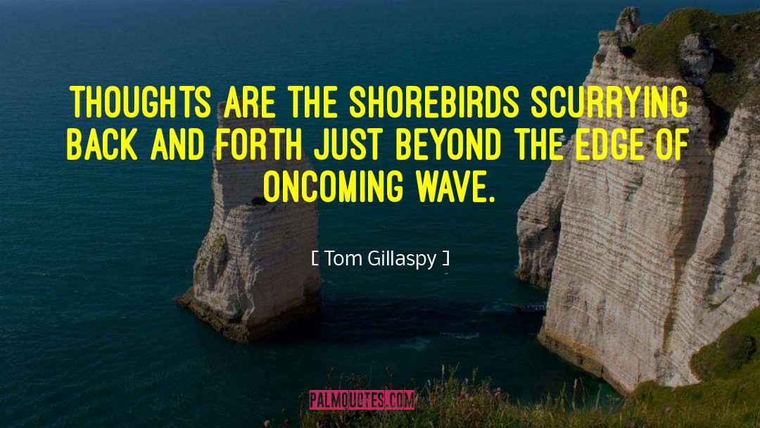 Colouring The Wave quotes by Tom Gillaspy