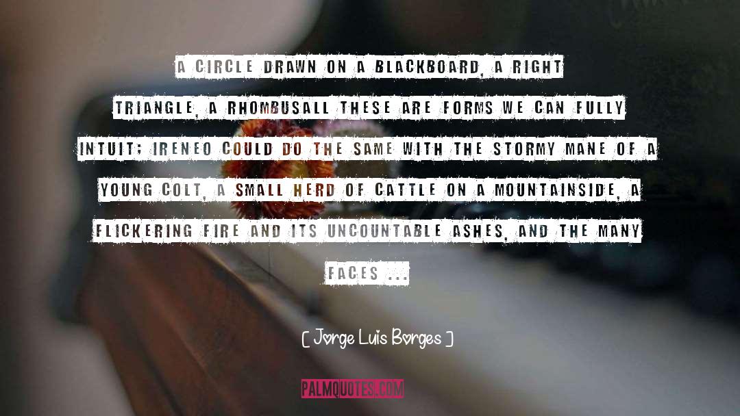 Colt quotes by Jorge Luis Borges