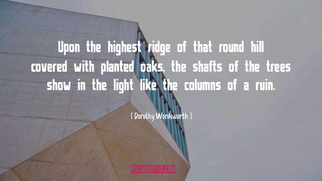 Columns quotes by Dorothy Wordsworth