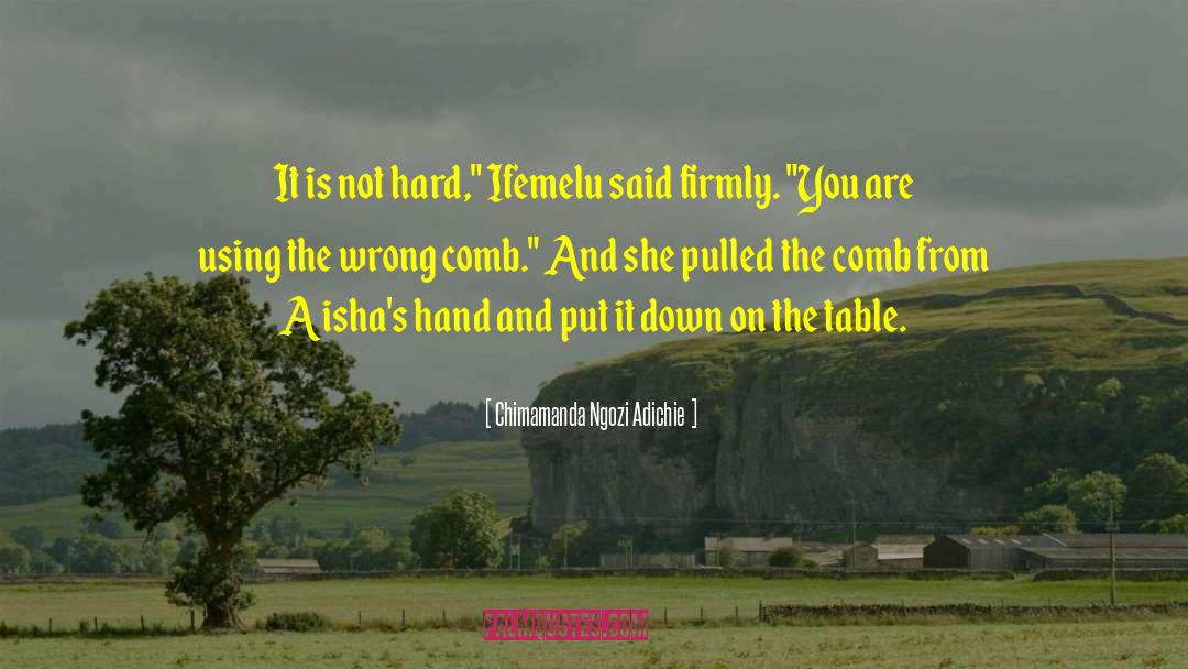Comb quotes by Chimamanda Ngozi Adichie