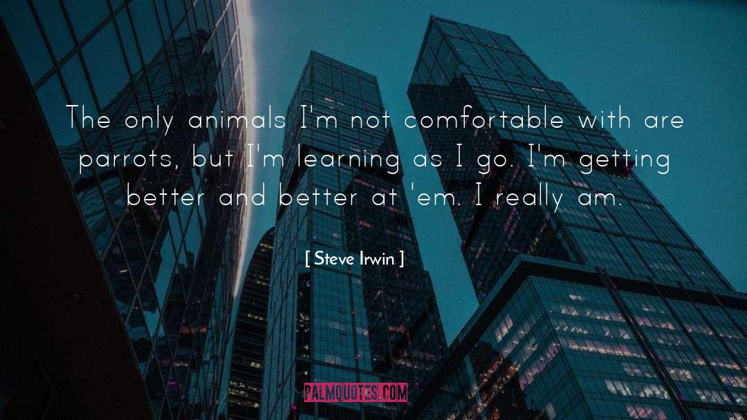 Combatentes Em quotes by Steve Irwin