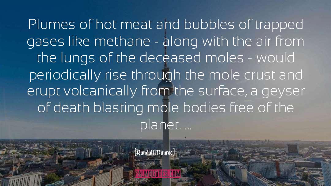 Combusting Methane quotes by Randall Munroe