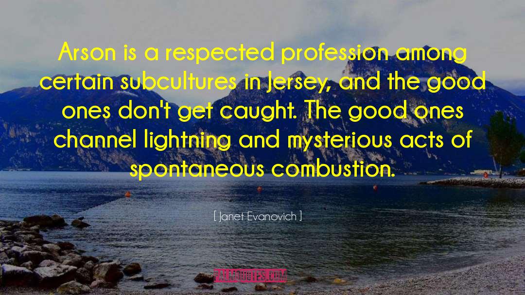 Combustion quotes by Janet Evanovich