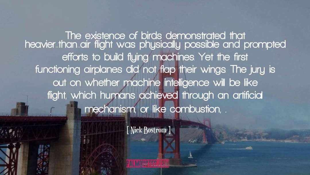 Combustion quotes by Nick Bostrom