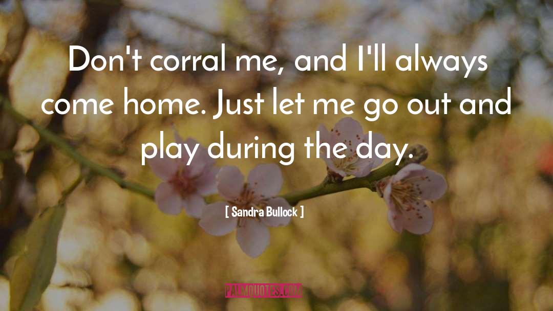 Come Home quotes by Sandra Bullock