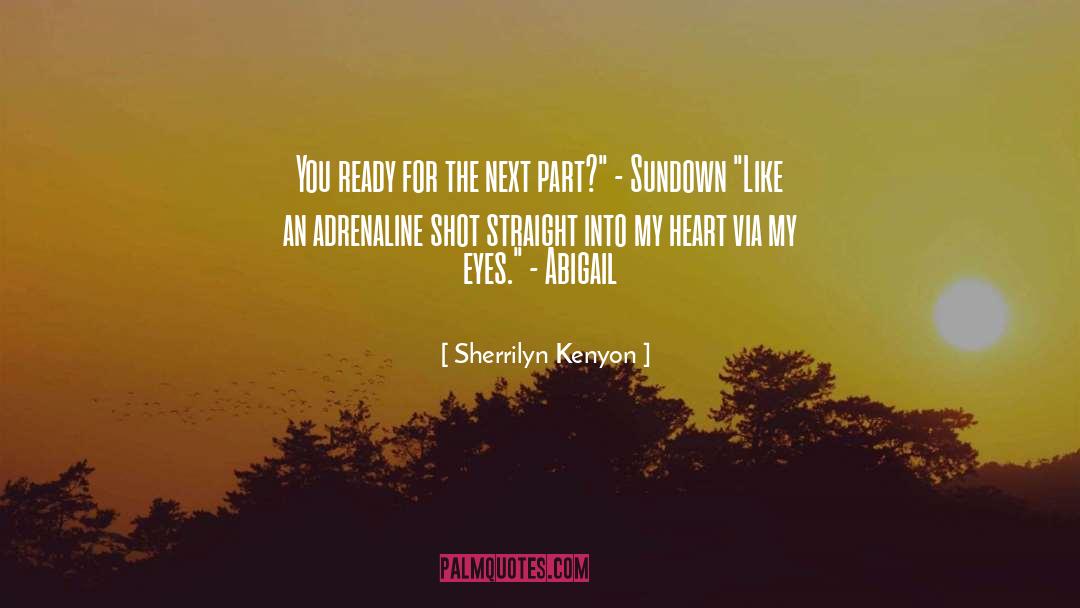 Come Sundown quotes by Sherrilyn Kenyon