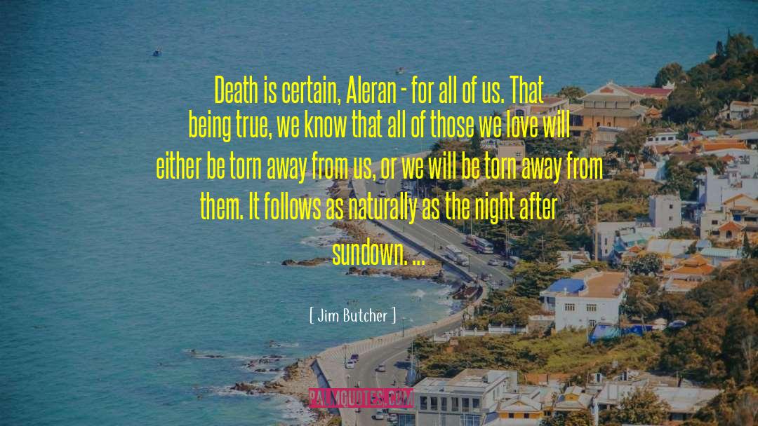 Come Sundown quotes by Jim Butcher
