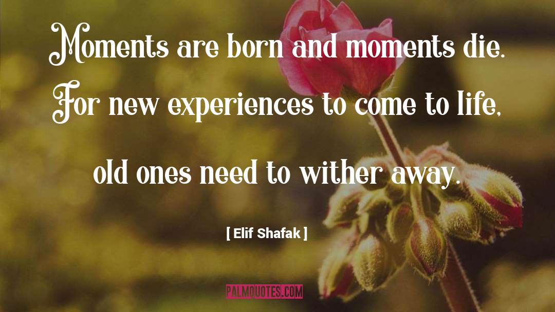 Come To Life quotes by Elif Shafak