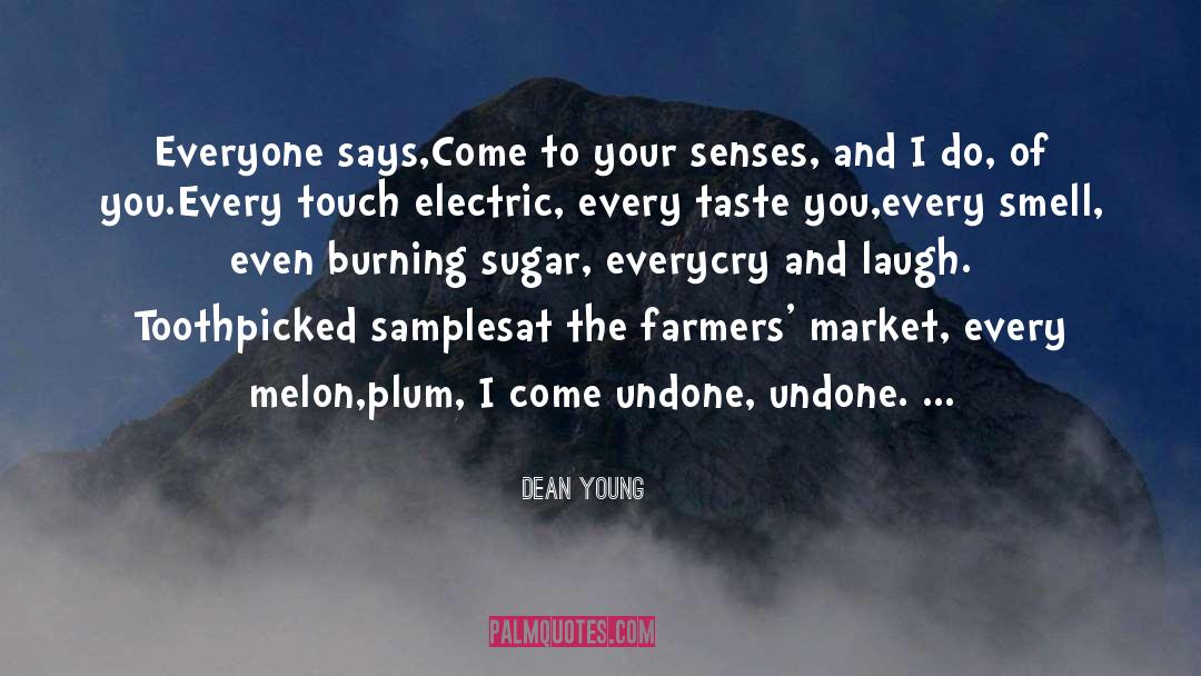 Come To Your Senses quotes by Dean Young