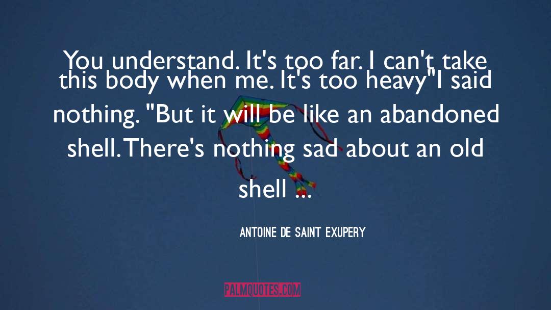 Come Too Far quotes by Antoine De Saint Exupery