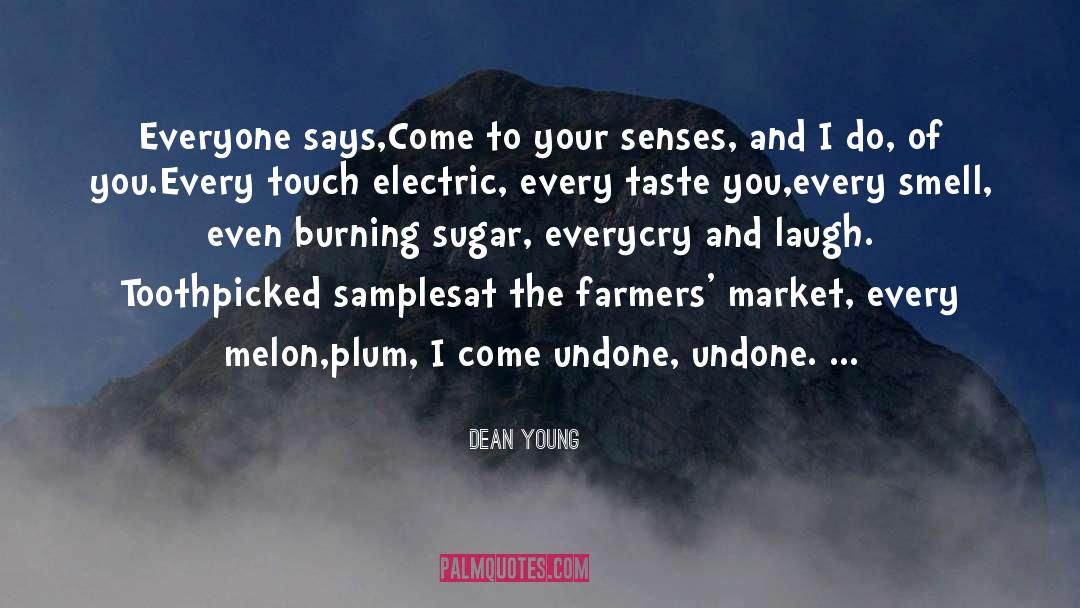 Come Undone quotes by Dean Young