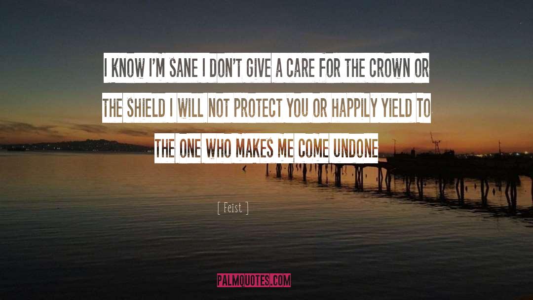 Come Undone quotes by Feist