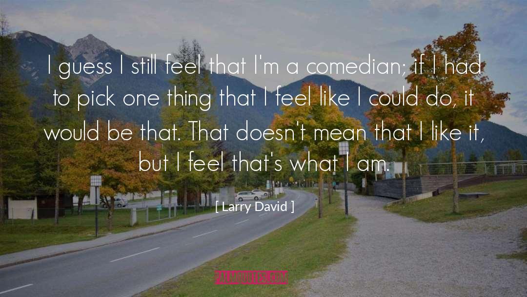 Comedian quotes by Larry David