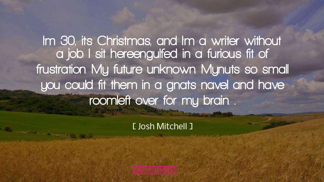 Comedy Romance quotes by Josh Mitchell