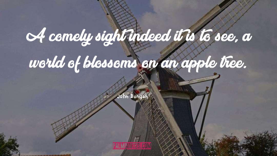 Comely quotes by John Bunyan